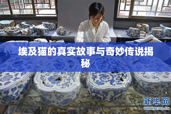 埃及猫的真实故事与奇妙传说揭秘