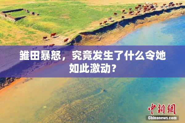 雏田暴怒，究竟发生了什么令她如此激动？