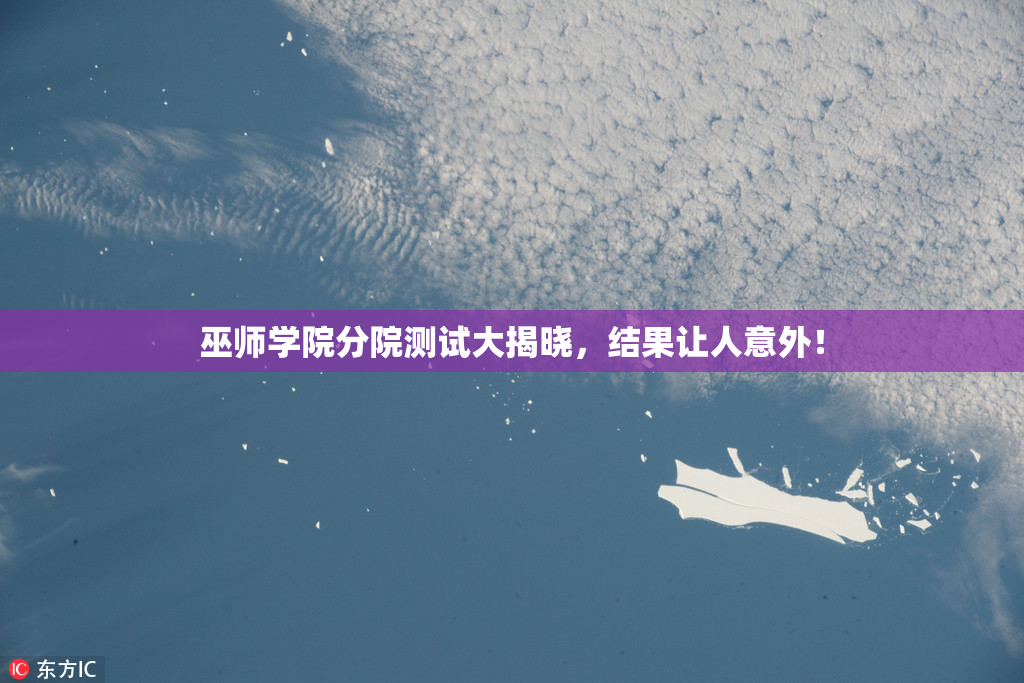 巫师学院分院测试大揭晓，结果让人意外！
