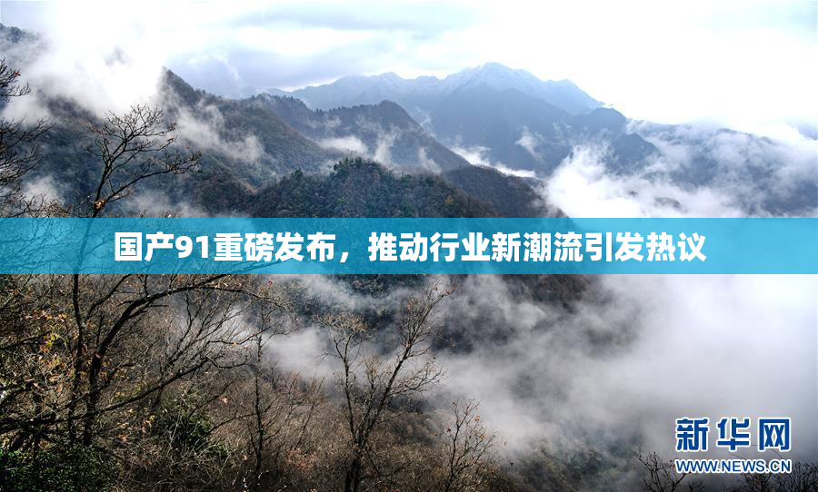 国产91重磅发布，推动行业新潮流引发热议