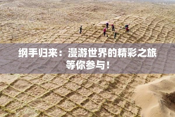 纲手归来：漫游世界的精彩之旅等你参与！
