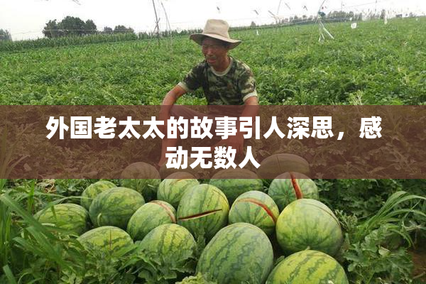 外国老太太的故事引人深思，感动无数人