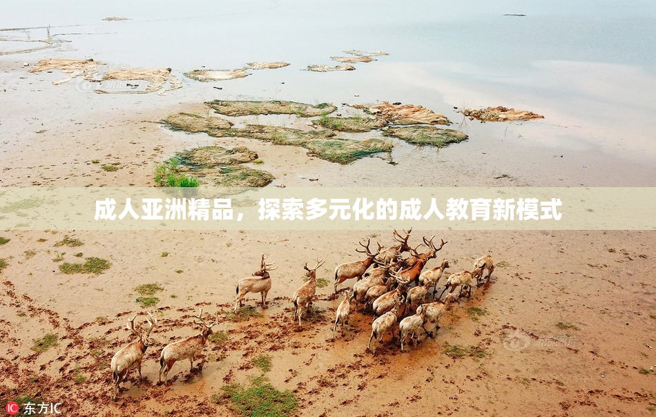 成人亚洲精品，探索多元化的成人教育新模式