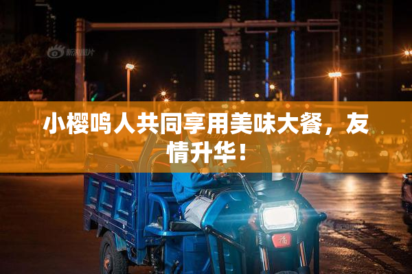 小樱鸣人共同享用美味大餐，友情升华！
