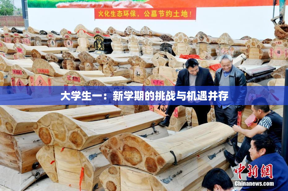 大学生一：新学期的挑战与机遇并存
