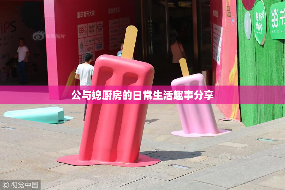公与媳厨房的日常生活趣事分享