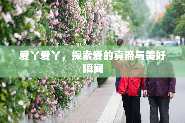 爱丫爱丫，探索爱的真谛与美好瞬间