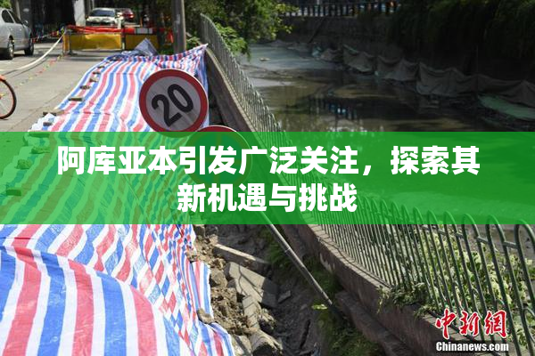阿库亚本引发广泛关注，探索其新机遇与挑战