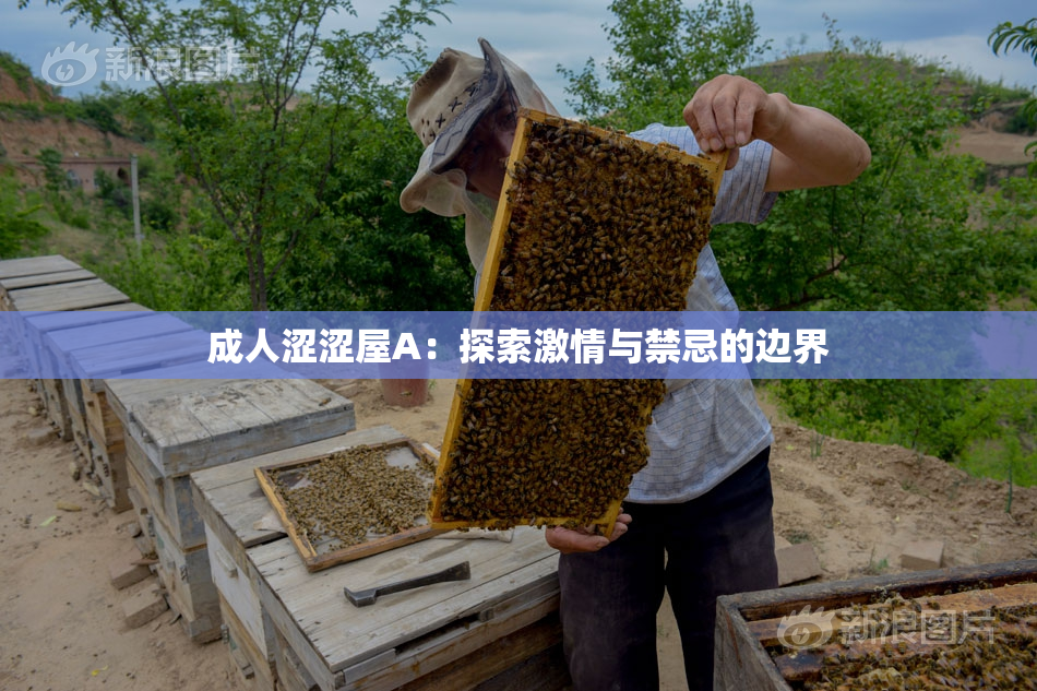 成人涩涩屋A：探索激情与禁忌的边界