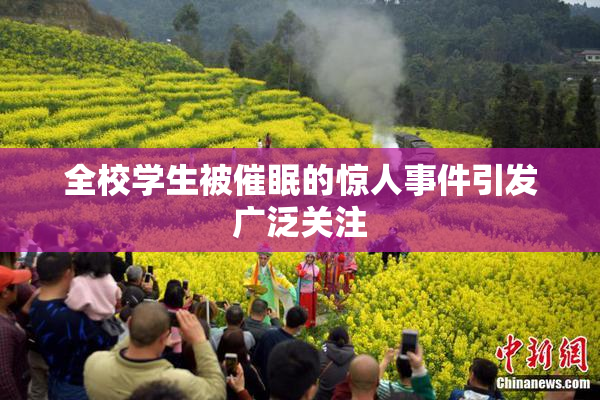 全校学生被催眠的惊人事件引发广泛关注