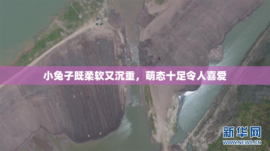 小兔子既柔软又沉重，萌态十足令人喜爱