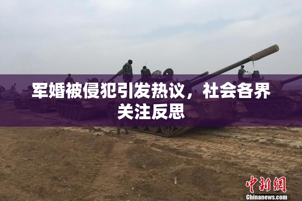军婚被侵犯引发热议，社会各界关注反思