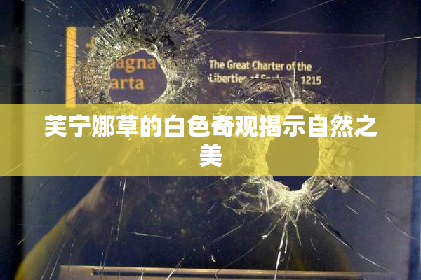 芙宁娜草的白色奇观揭示自然之美