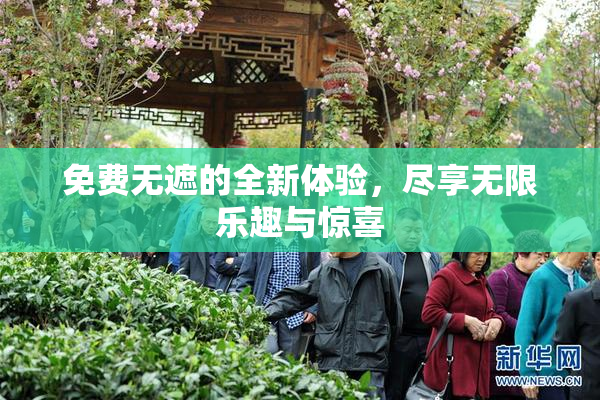 免费无遮的全新体验，尽享无限乐趣与惊喜