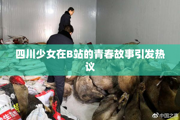四川少女在B站的青春故事引发热议