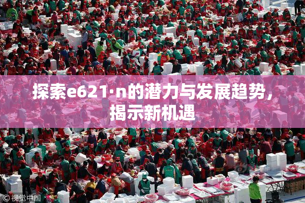 探索e621·n的潜力与发展趋势，揭示新机遇