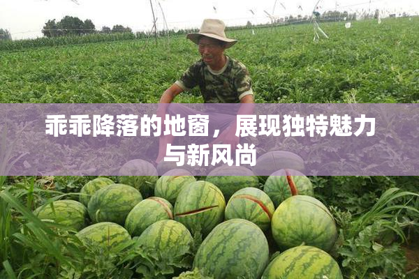 乖乖降落的地窗，展现独特魅力与新风尚