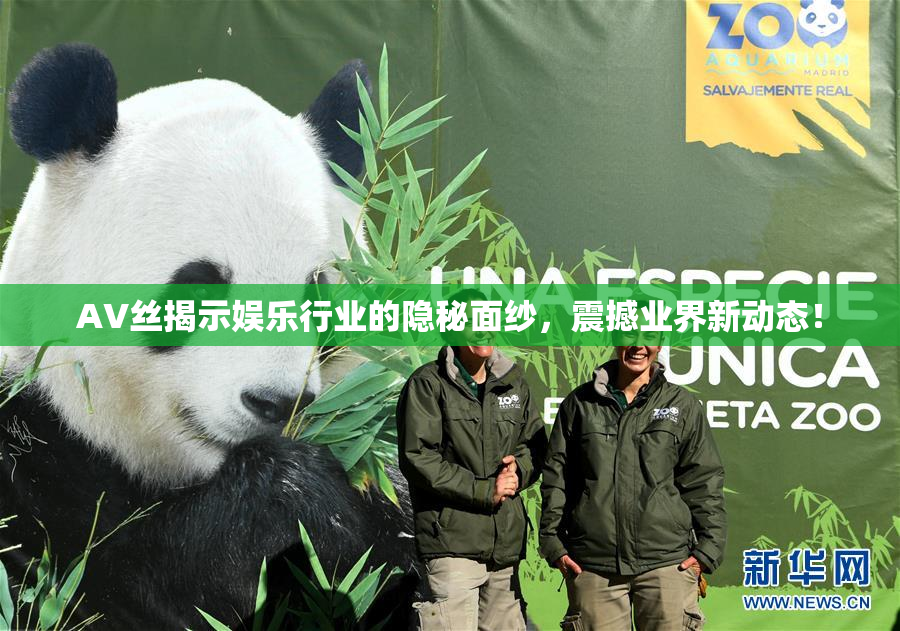 AV丝揭示娱乐行业的隐秘面纱，震撼业界新动态！