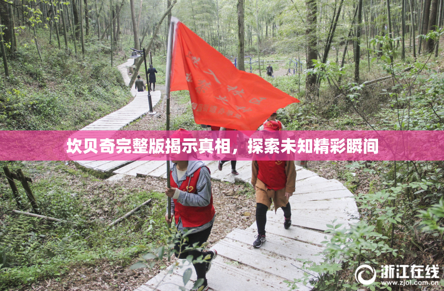 坎贝奇完整版揭示真相，探索未知精彩瞬间
