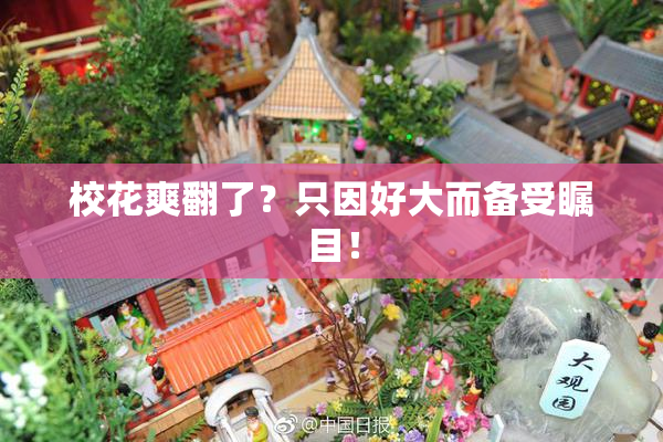校花爽翻了？只因好大而备受瞩目！