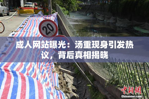 成人网站曝光：汤重现身引发热议，背后真相揭晓