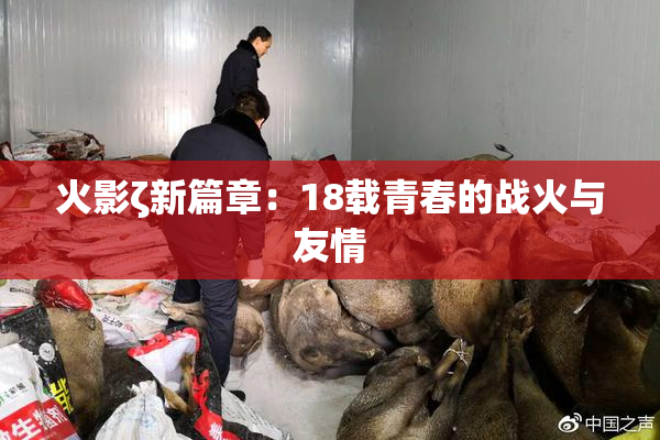 火影ζ新篇章：18载青春的战火与友情