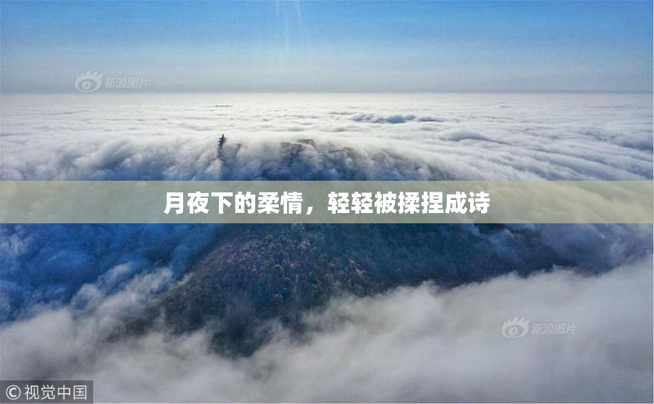 月夜下的柔情，轻轻被揉捏成诗