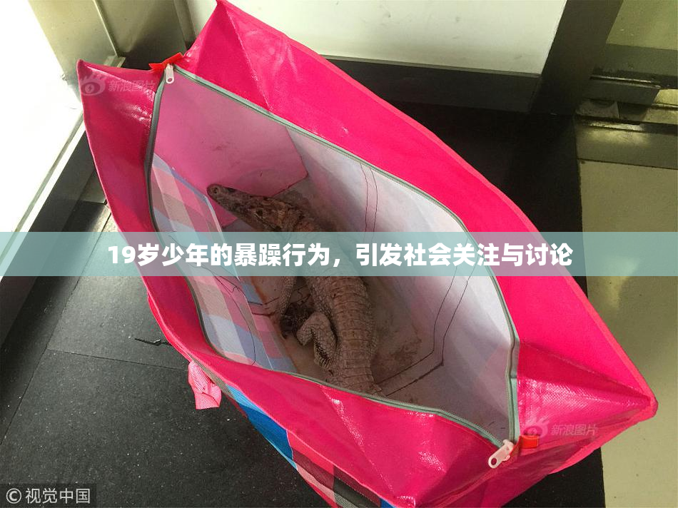 19岁少年的暴躁行为，引发社会关注与讨论