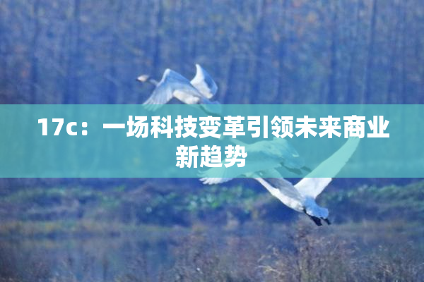 17c：一场科技变革引领未来商业新趋势
