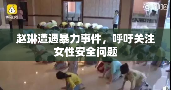 赵琳遭遇暴力事件，呼吁关注女性安全问题