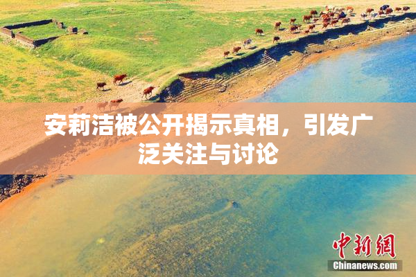 安莉洁被公开揭示真相，引发广泛关注与讨论