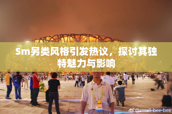 Sm另类风格引发热议，探讨其独特魅力与影响