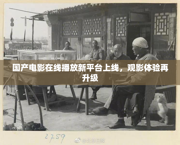 国产电影在线播放新平台上线，观影体验再升级