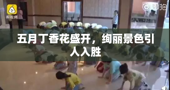 五月丁香花盛开，绚丽景色引人入胜