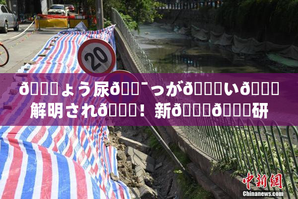 🎆ょう尿🔯っが😚い🎆解明され👅！新👅🍑研究成果発表