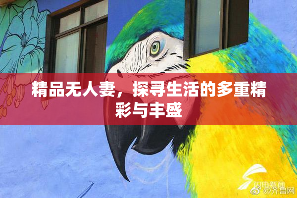 精品无人妻，探寻生活的多重精彩与丰盛