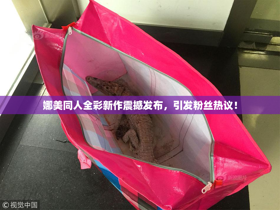 娜美同人全彩新作震撼发布，引发粉丝热议！