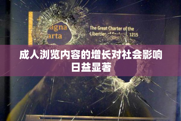 成人浏览内容的增长对社会影响日益显著