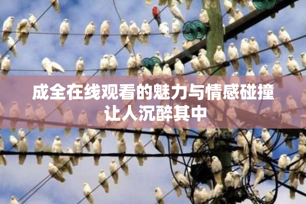 成全在线观看的魅力与情感碰撞 让人沉醉其中