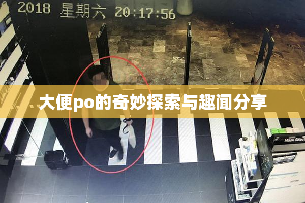 大便po的奇妙探索与趣闻分享