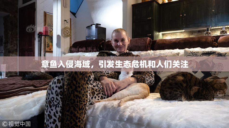 章鱼入侵海域，引发生态危机和人们关注