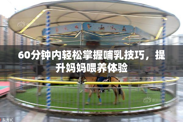 60分钟内轻松掌握哺乳技巧，提升妈妈喂养体验