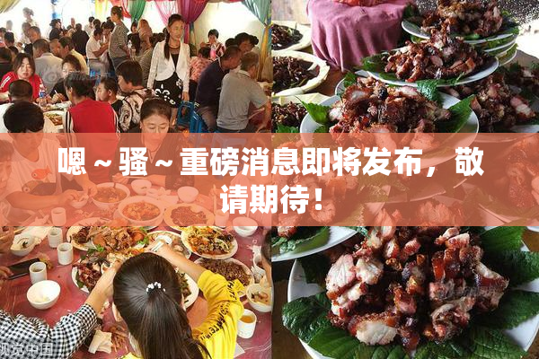 嗯～骚～重磅消息即将发布，敬请期待！
