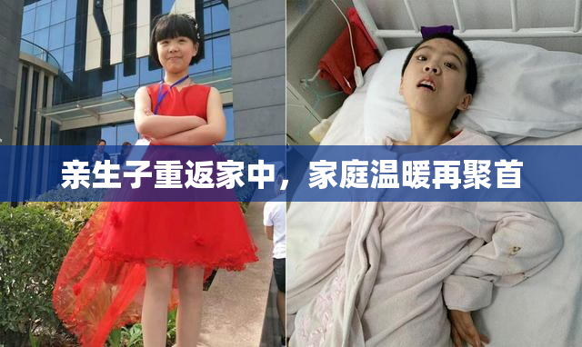 亲生子重返家中，家庭温暖再聚首