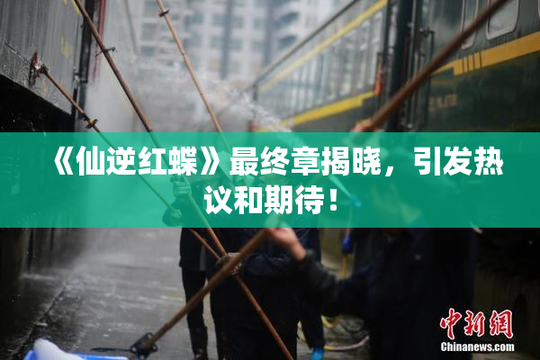 《仙逆红蝶》最终章揭晓，引发热议和期待！