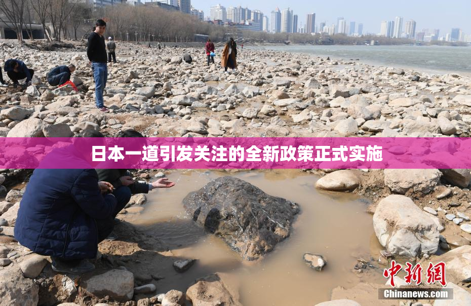 日本一道引发关注的全新政策正式实施