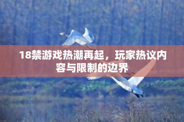 18禁游戏热潮再起，玩家热议内容与限制的边界