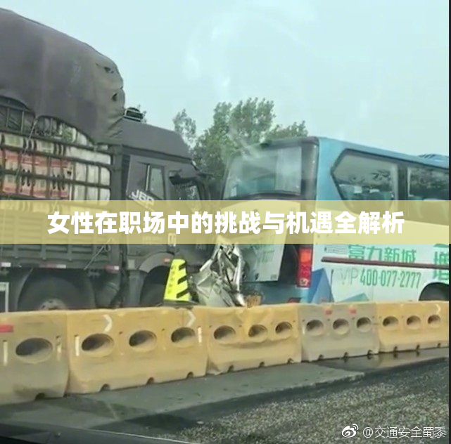女性在职场中的挑战与机遇全解析