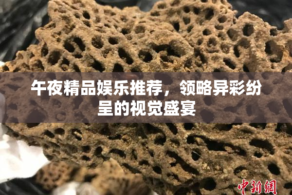 午夜精品娱乐推荐，领略异彩纷呈的视觉盛宴