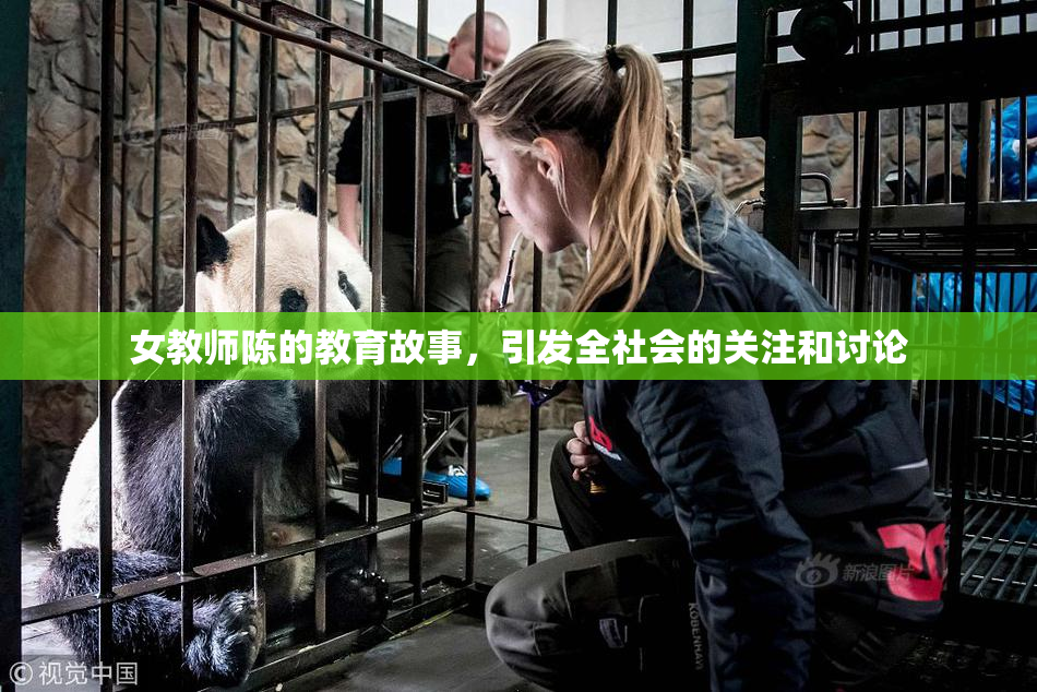 女教师陈的教育故事，引发全社会的关注和讨论